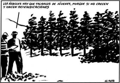 animando el veranito