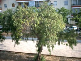 M&aacute;s problemas en la construcci&oacute;n de aparcamientos subterr&aacute;neos